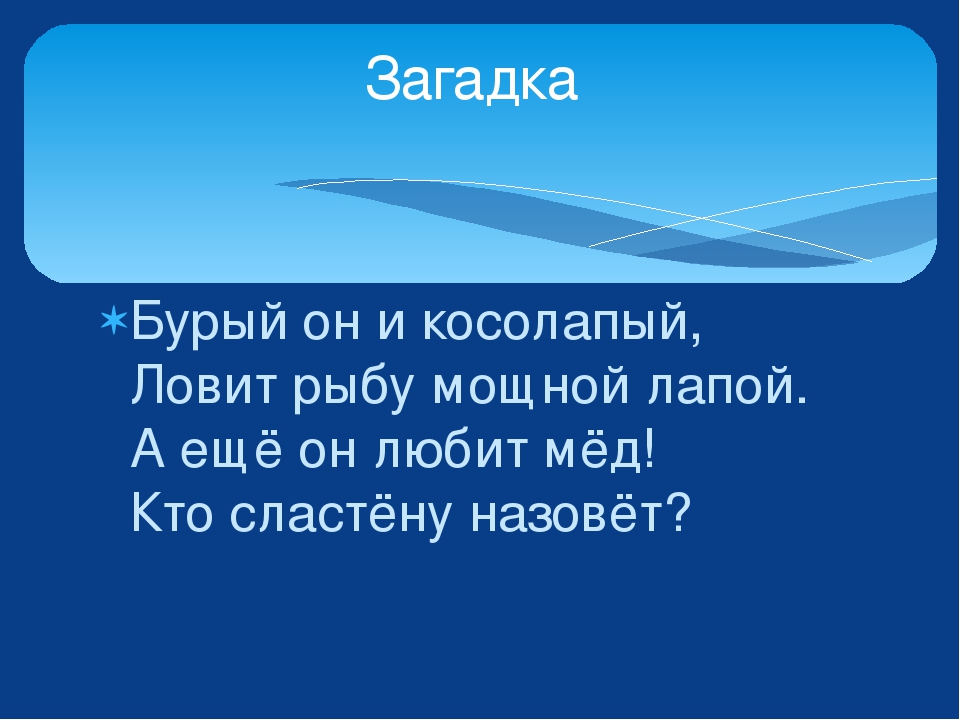 Изучаем лесных животных. Урман хайваннар ойрэнэбез