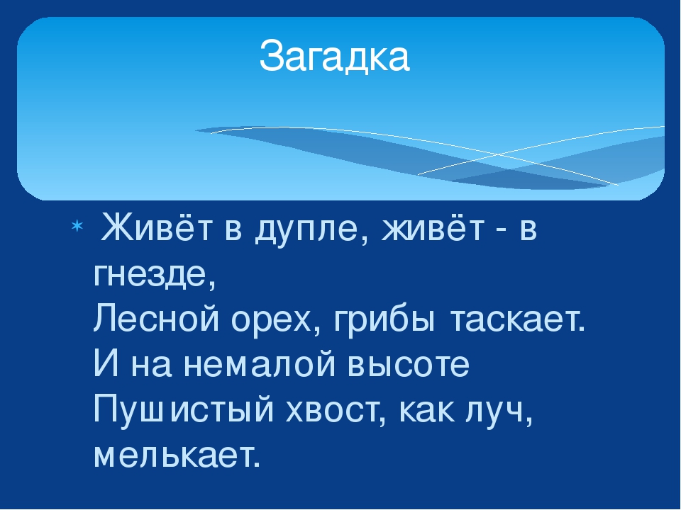 Изучаем лесных животных. Урман хайваннар ойрэнэбез