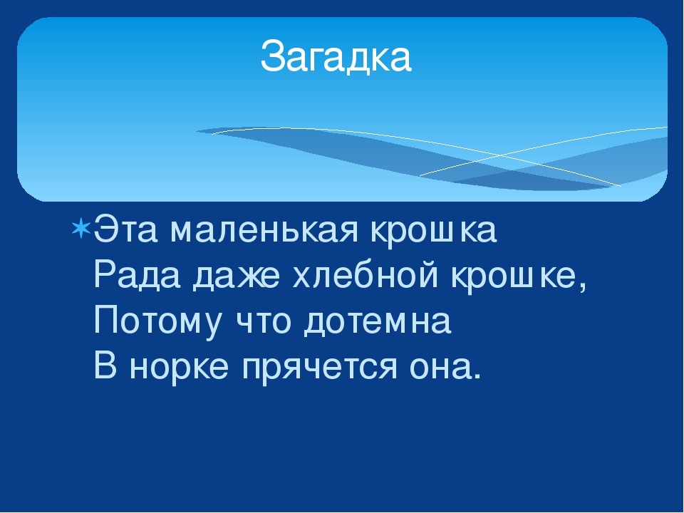 Изучаем лесных животных. Урман хайваннар ойрэнэбез