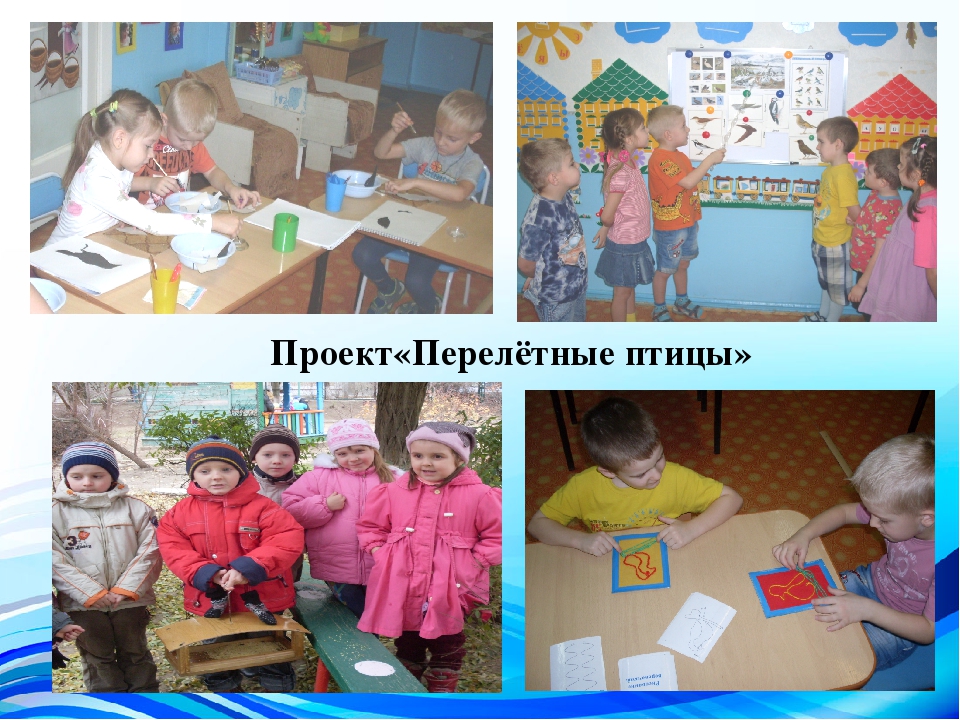 Презентация «Федеральные государственные образовательные стандарты дошкольного образования для детей с ограниченными возможностями здоровья как гарантия сохранения единого образовательного пространства».