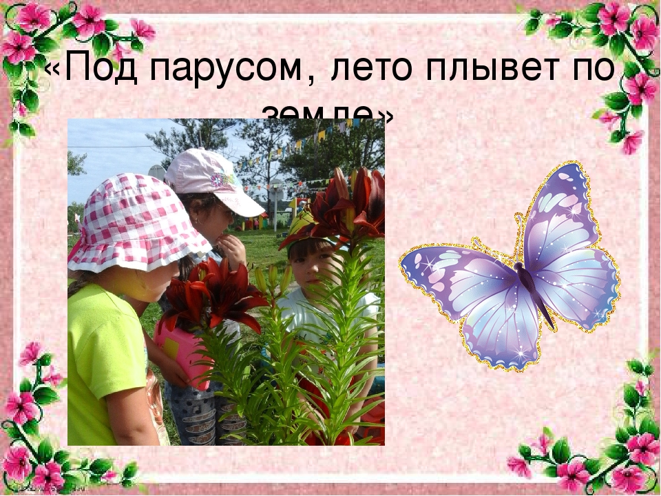 Презентация к отчету летнего проекта "Под парусом, лето плывет по земле"