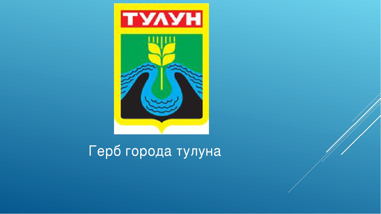 Проект город тулун