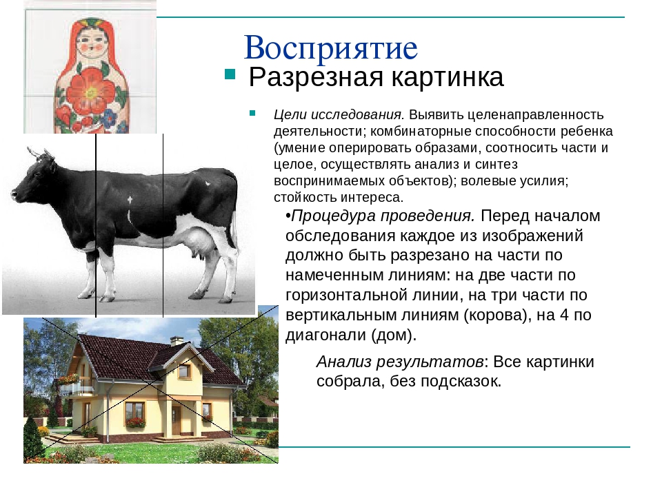Программа психолого-педагогической коррекции ребенка дошкольного возраста.