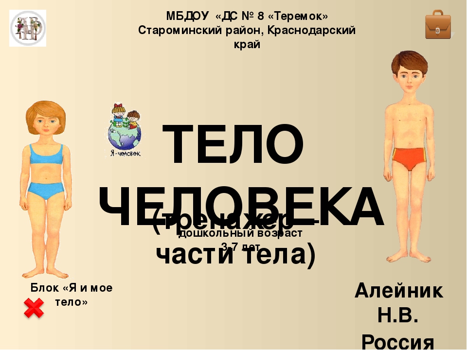 Интерактивный тренажер «Тело человека»