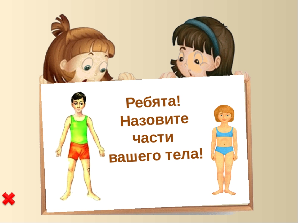 Интерактивный тренажер «Тело человека»