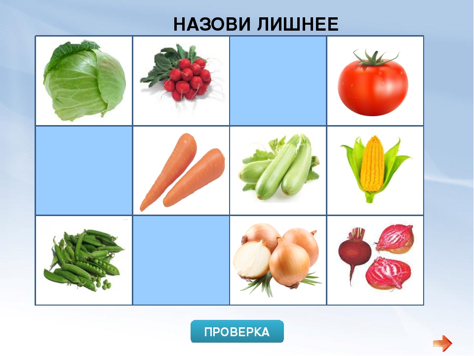 Тренажер «Логика и мышление»