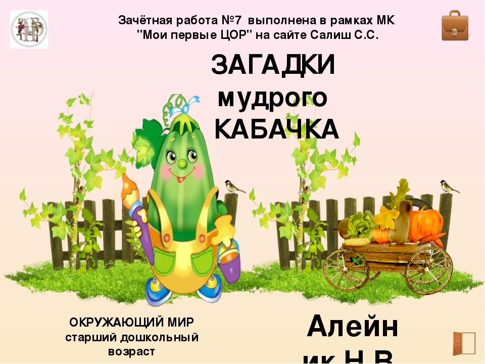 Комплексный тренажер «Загадки мудрого Кабачка»