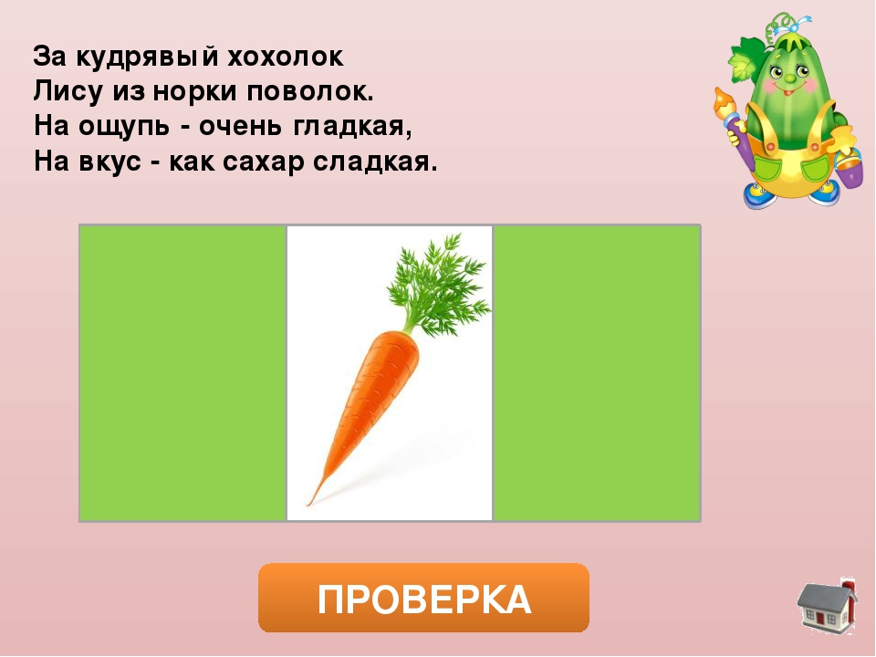 Комплексный тренажер «Загадки мудрого Кабачка»