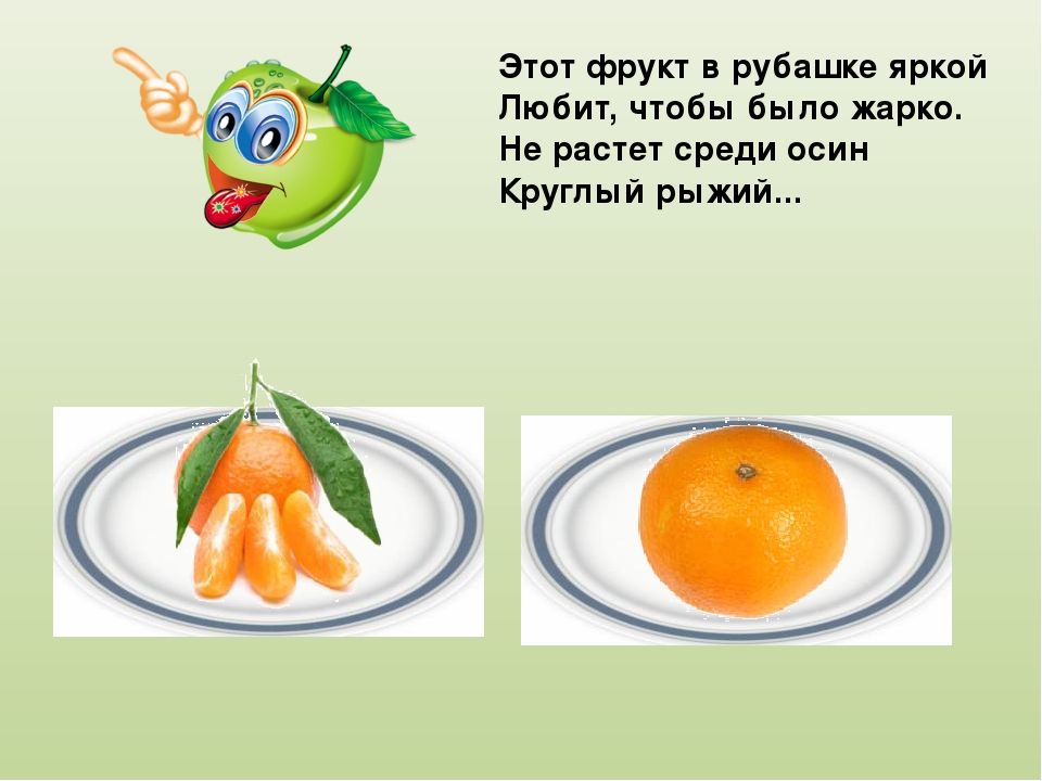 Комплексный тренажер «Загадки мудрого Кабачка»