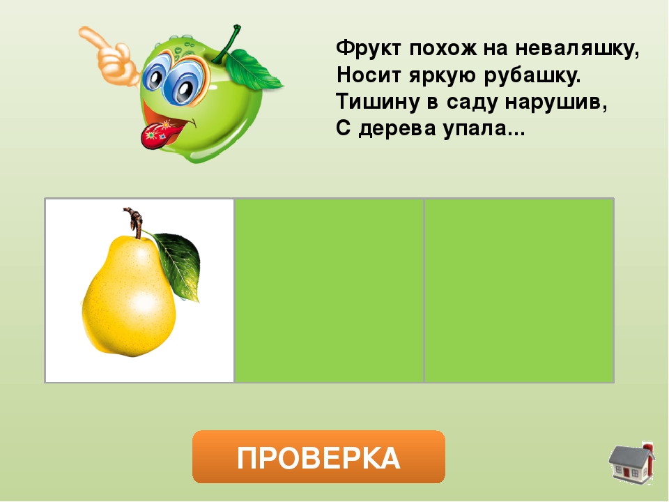 Комплексный тренажер «Загадки мудрого Кабачка»