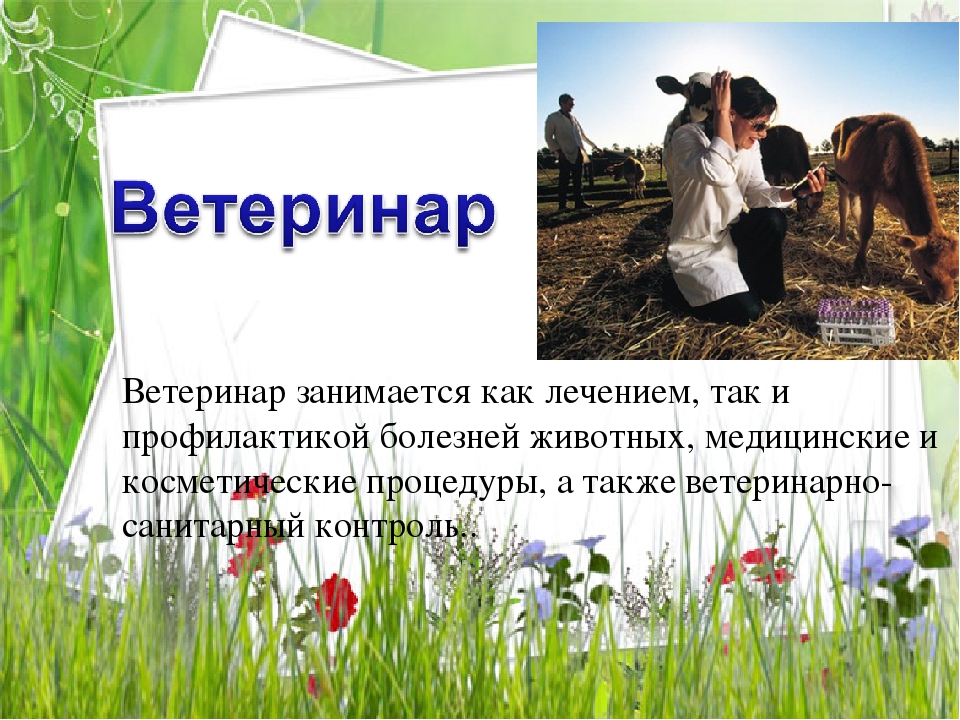 Презентация по познавательному развитию на тему "Сельскохозяйственные профессии"