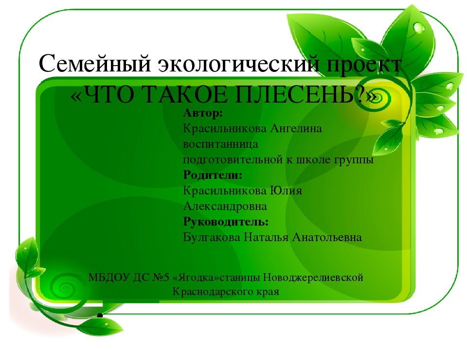 Семейный экологический проект «ЧТО ТАКОЕ ПЛЕСЕНЬ?»