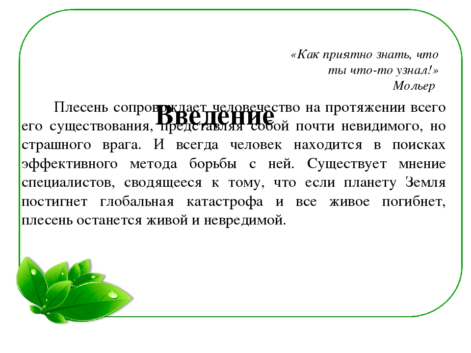 Семейный экологический проект «ЧТО ТАКОЕ ПЛЕСЕНЬ?»