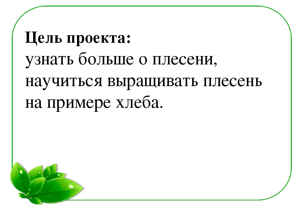 Семейный экологический проект «ЧТО ТАКОЕ ПЛЕСЕНЬ?»