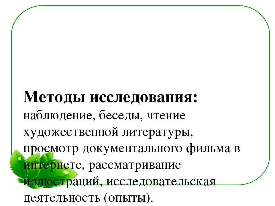 Семейный экологический проект «ЧТО ТАКОЕ ПЛЕСЕНЬ?»