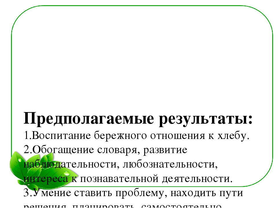 Семейный экологический проект «ЧТО ТАКОЕ ПЛЕСЕНЬ?»