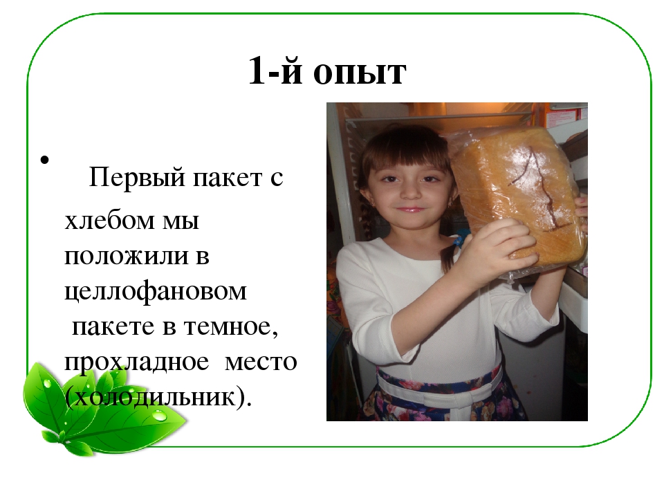 Семейный экологический проект «ЧТО ТАКОЕ ПЛЕСЕНЬ?»
