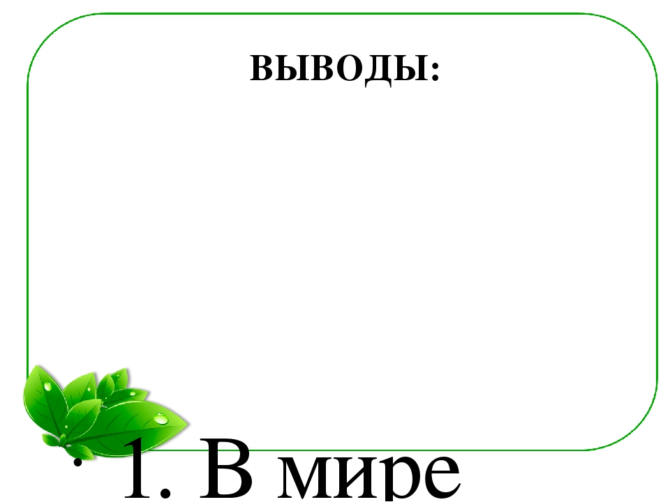 Семейный экологический проект «ЧТО ТАКОЕ ПЛЕСЕНЬ?»