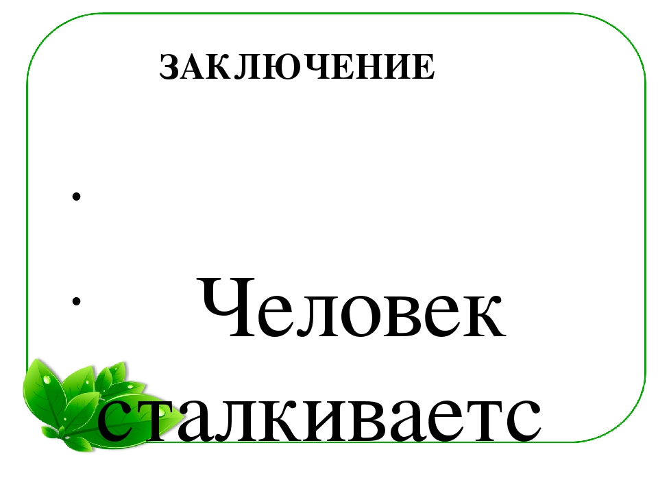 Семейный экологический проект «ЧТО ТАКОЕ ПЛЕСЕНЬ?»