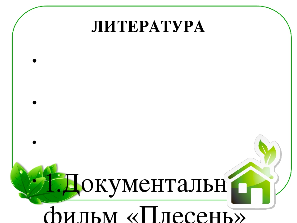 Семейный экологический проект «ЧТО ТАКОЕ ПЛЕСЕНЬ?»