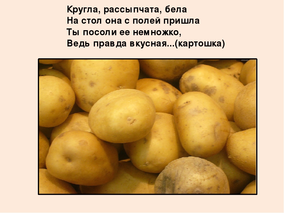 Презентация "Овощи" для познавательного развития детей второй младшей группы