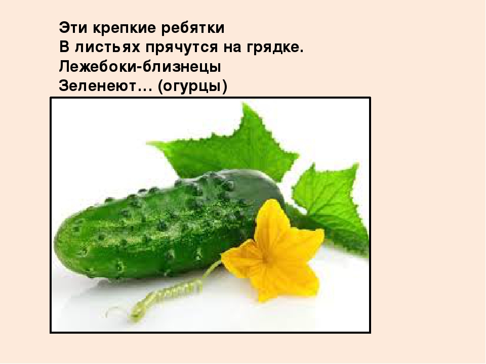 Презентация "Овощи" для познавательного развития детей второй младшей группы