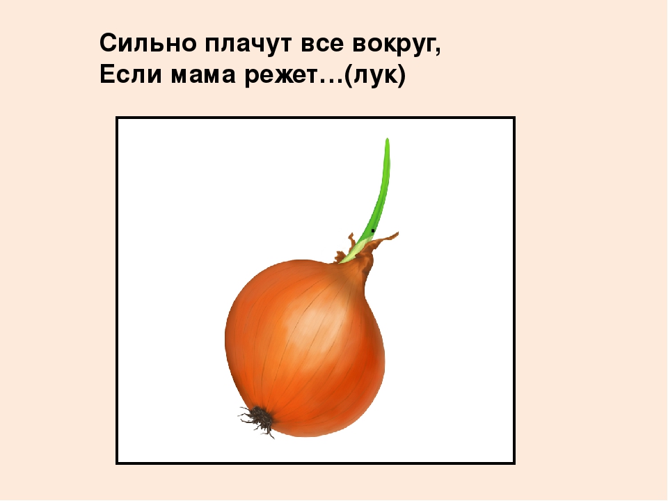 Презентация "Овощи" для познавательного развития детей второй младшей группы