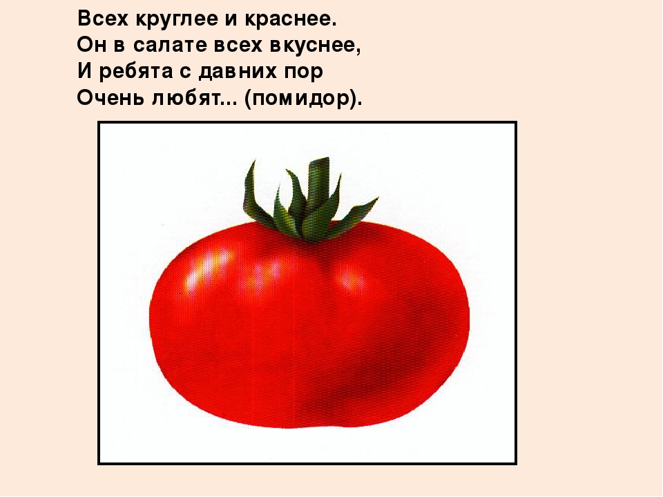 Презентация "Овощи" для познавательного развития детей второй младшей группы