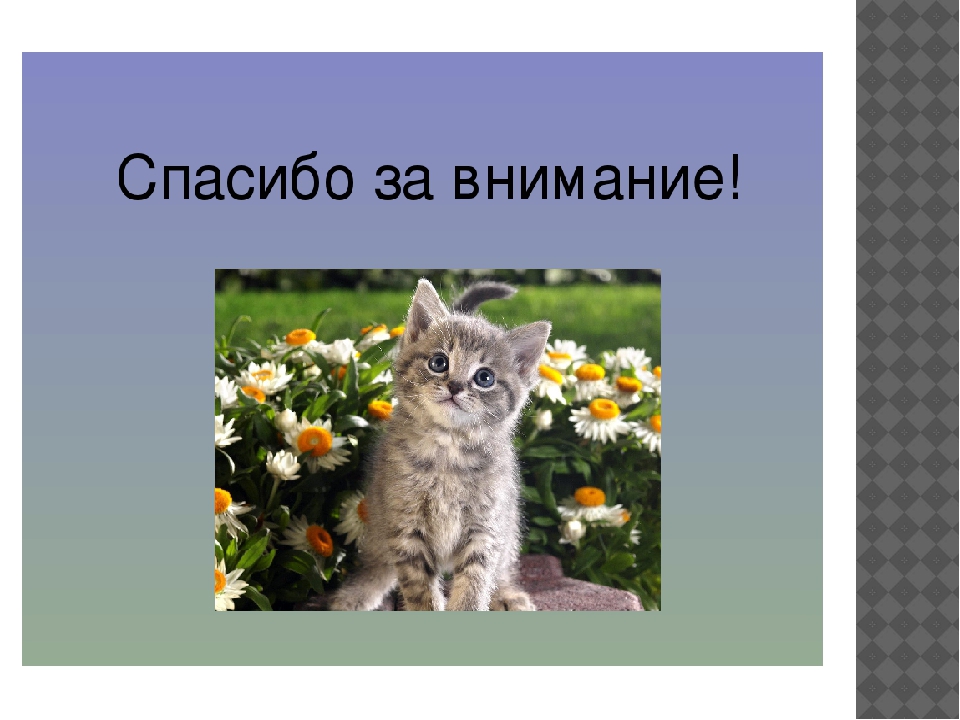 Презентация "Домашние животные" для познавательного развития детей второй младшей группы