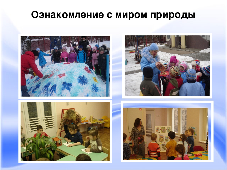 Презентация на тему "Познавательное развитие"