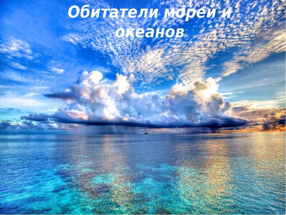 Презентация по ознакомлению с окружающим миром