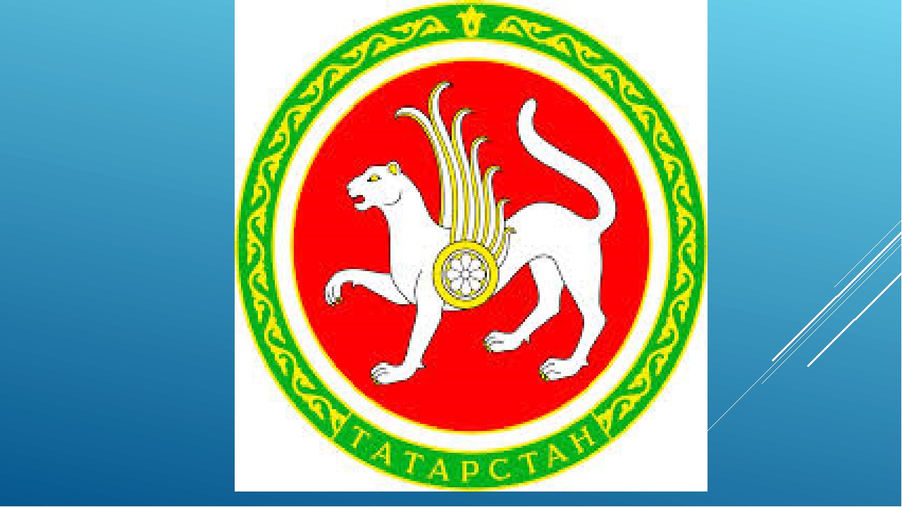 Тематическое занятие, посвященное Дню Конституции Татарстана
