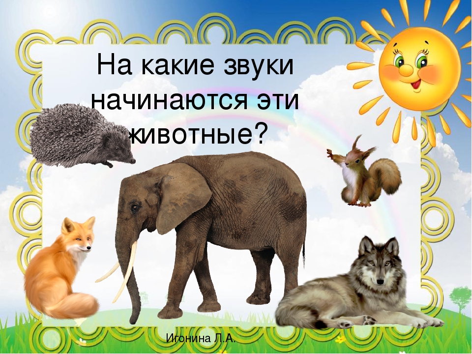 Интерактивное занятие по развитию речи для дошкольников
