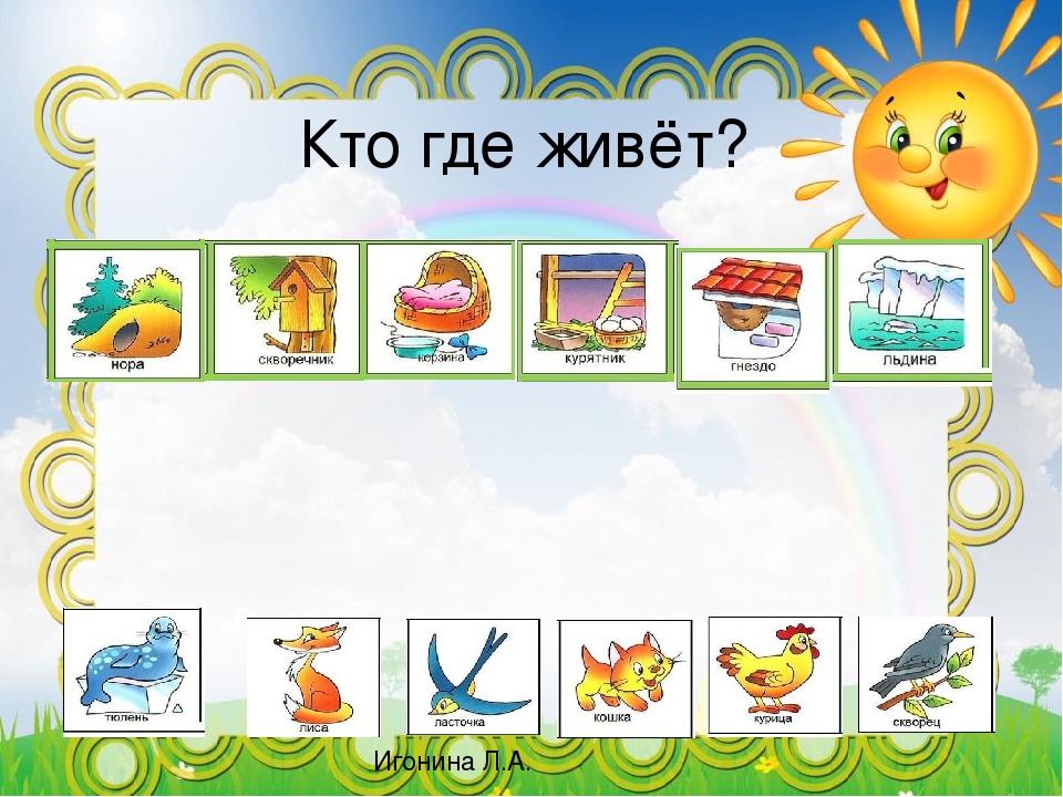 Интерактивное занятие по развитию речи для дошкольников