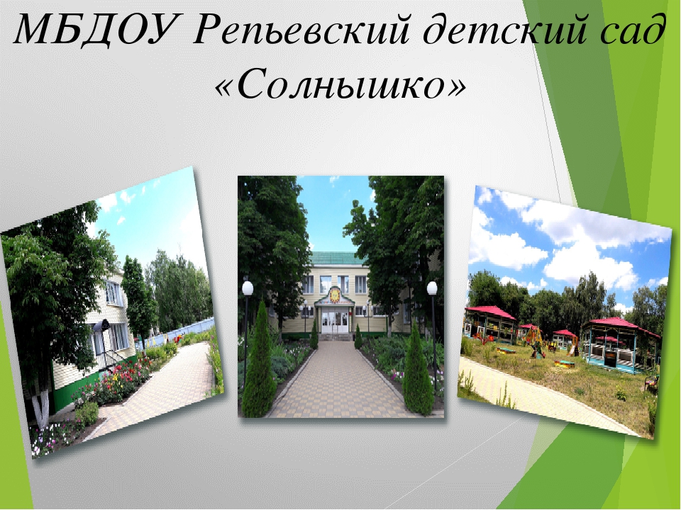 Презентация по Экологии "Экологическая тропа"