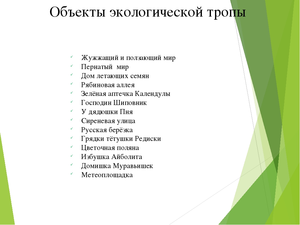 Презентация по Экологии "Экологическая тропа"