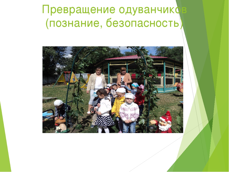 Презентация по Экологии "Экологическая тропа"