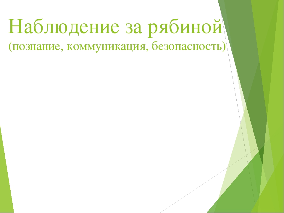 Презентация по Экологии "Экологическая тропа"