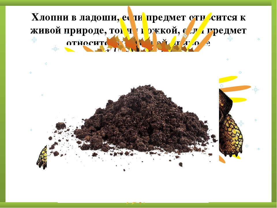 Презентация к пособию для дошкольников "Знакомимся с окружающим миром"(автор О.В.Чистякова) Занятие 2 .Природа живая и неживая