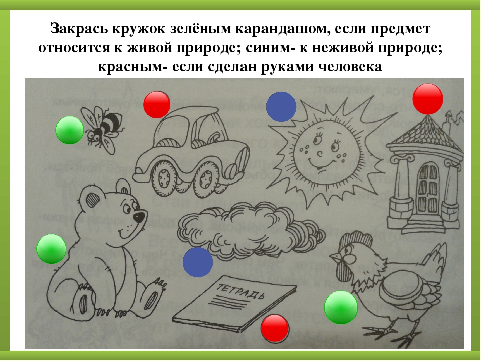 Мир неживой природы диагностическое занятие подготовительная группа презентация