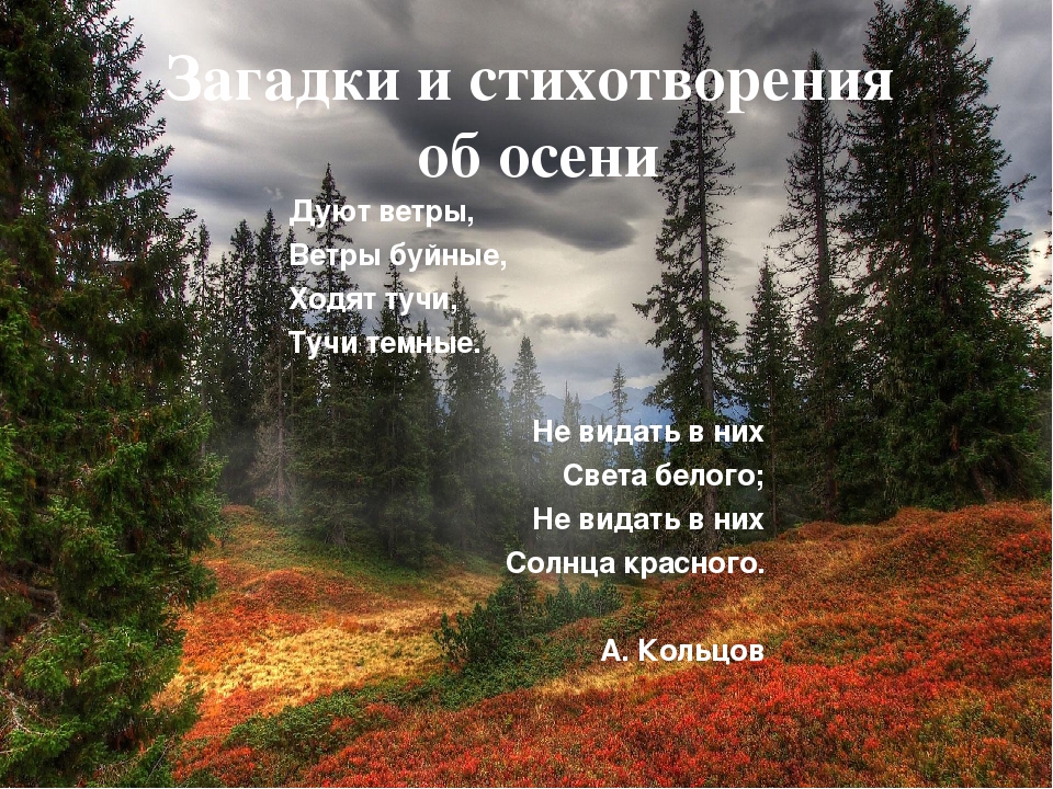 Презентация на тему "Осень"