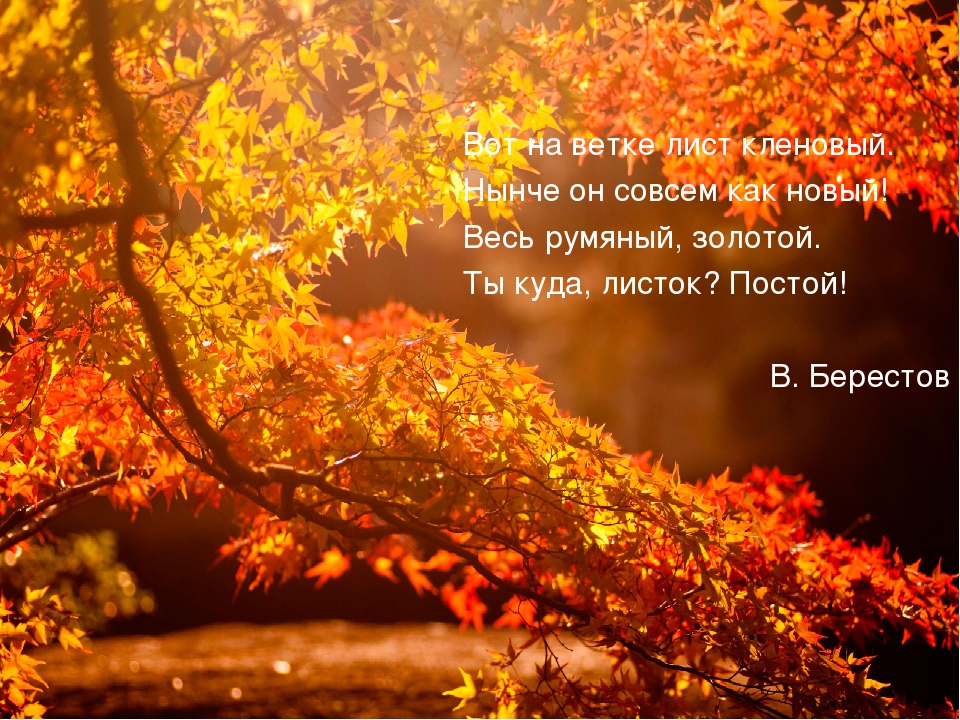 Презентация на тему "Осень"