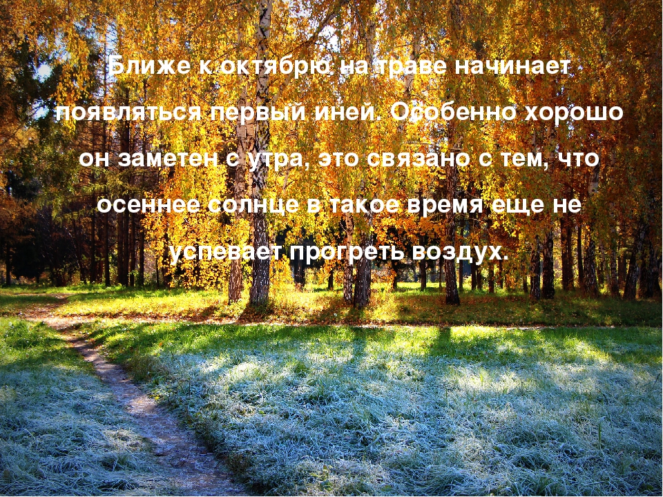 Презентация на тему "Осень"