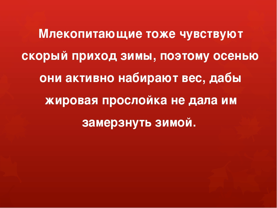 Презентация на тему "Осень"