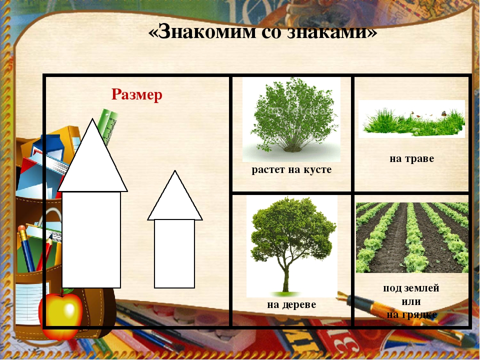 Презентация на тему: "Математическое развитие дошкольников средствами развивающих технологий"