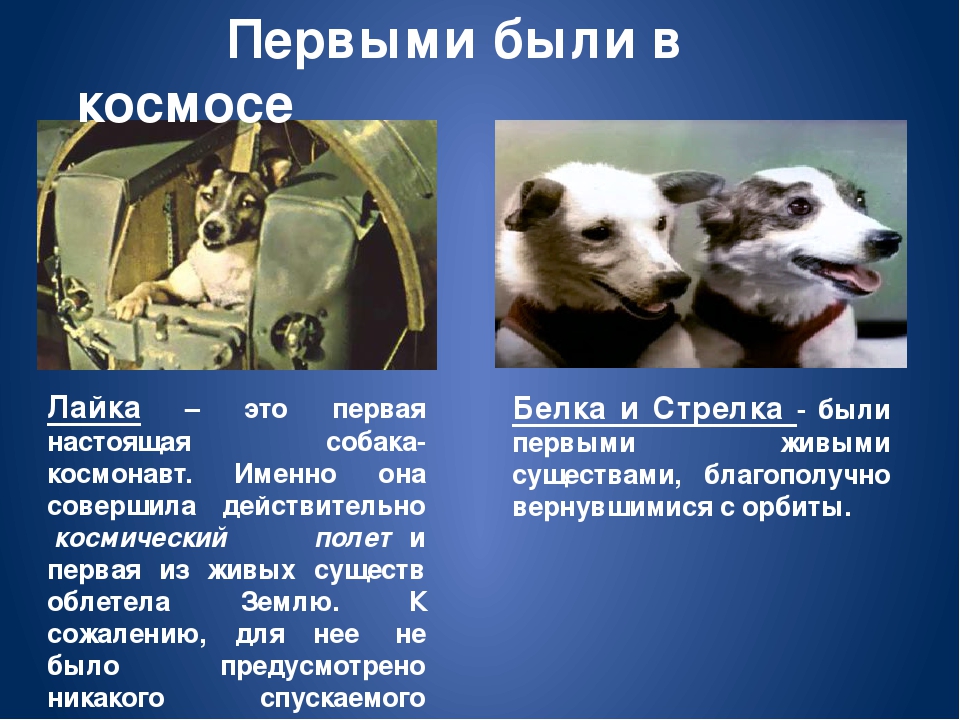 Презентация для детей "Всемирный день космонавтики"