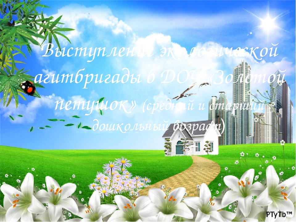 Презентация выступления экологической агитбригады