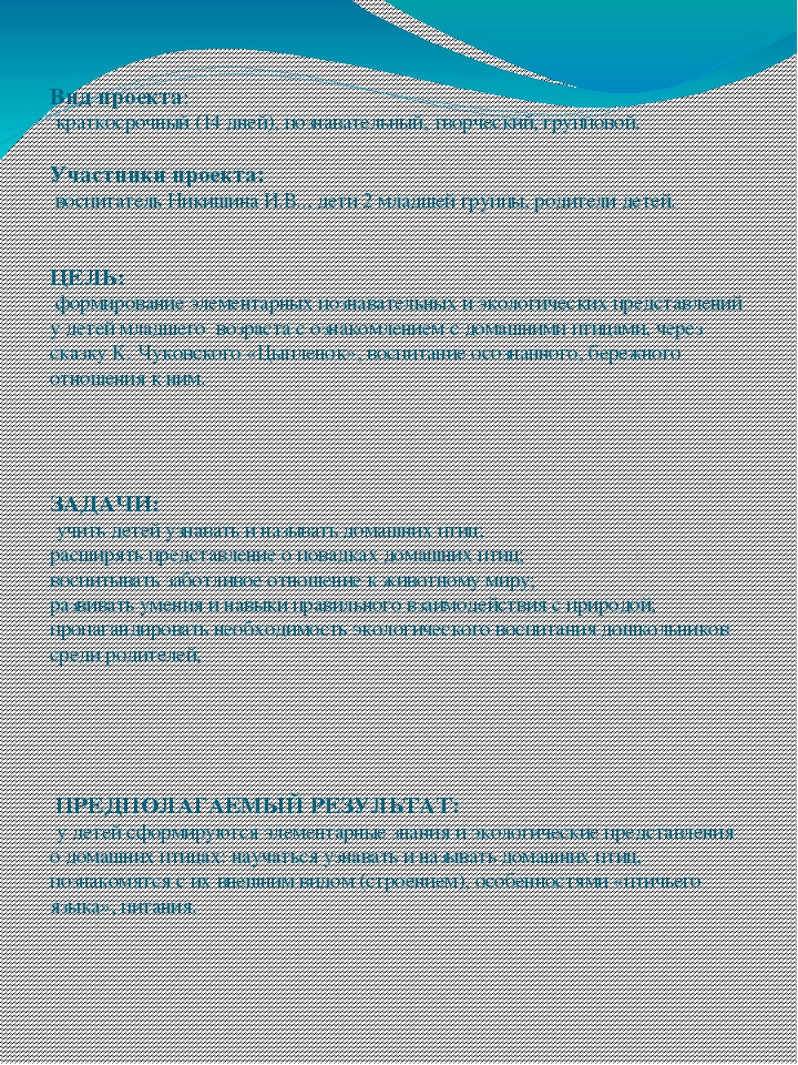 Проект на тему "Птичий двор".