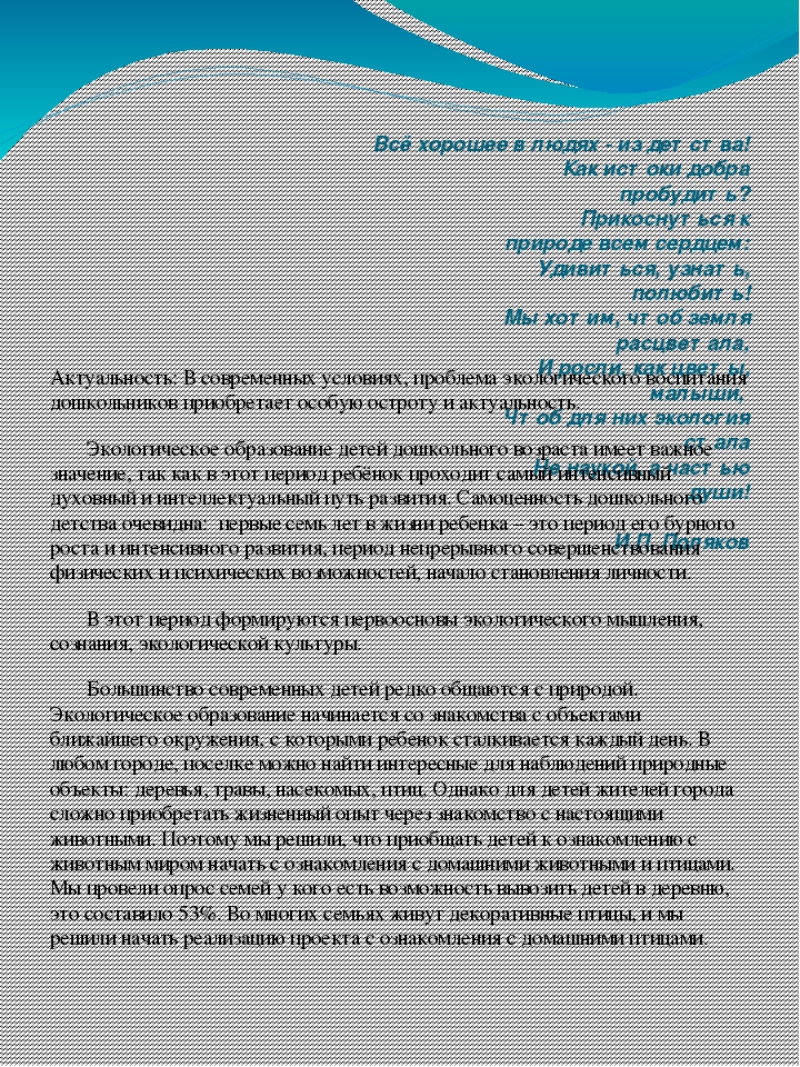 Проект на тему "Птичий двор".