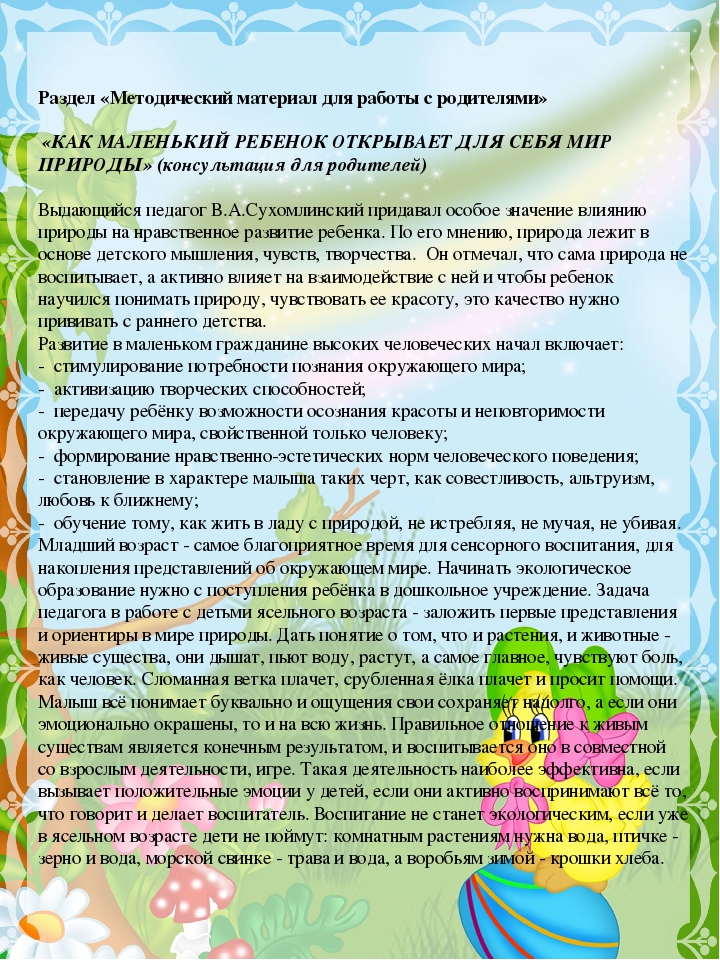 Проект на тему "Птичий двор".